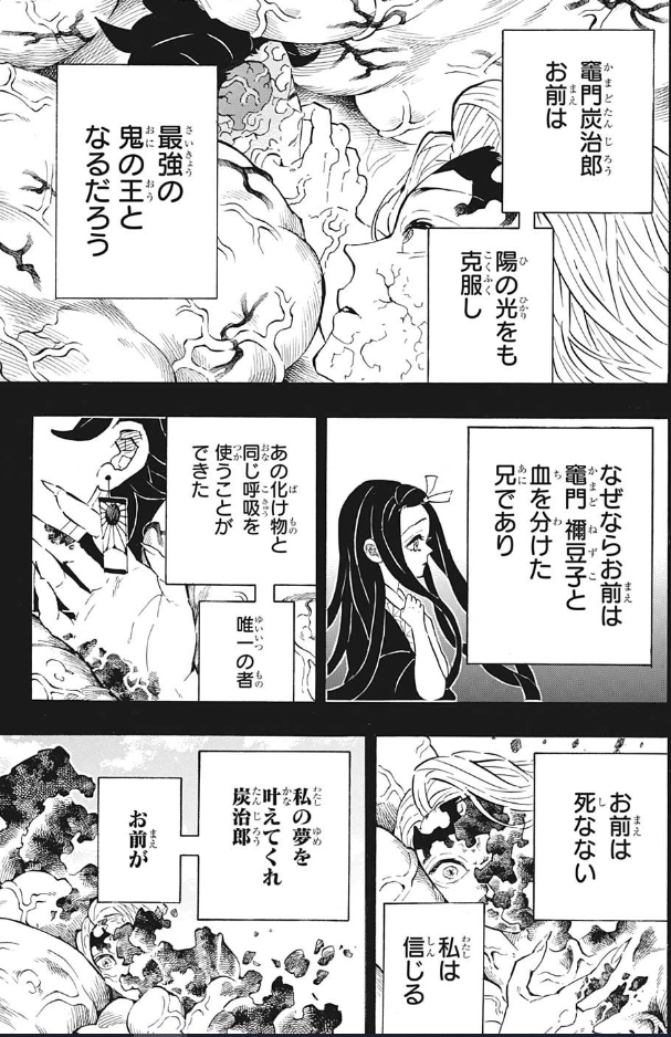 鬼滅の刃 炭治郎の鬼化は上弦の零なの 漫画の公式設定 思い通り